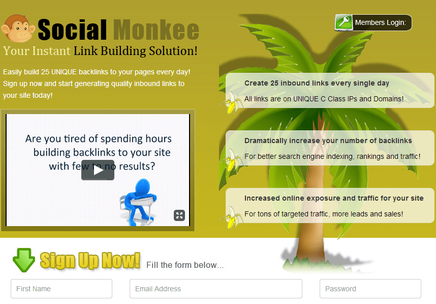 social monkee review