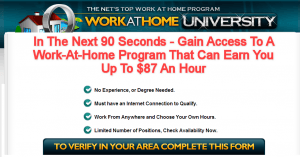 work from home university review