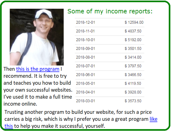 simple site big profits alternative