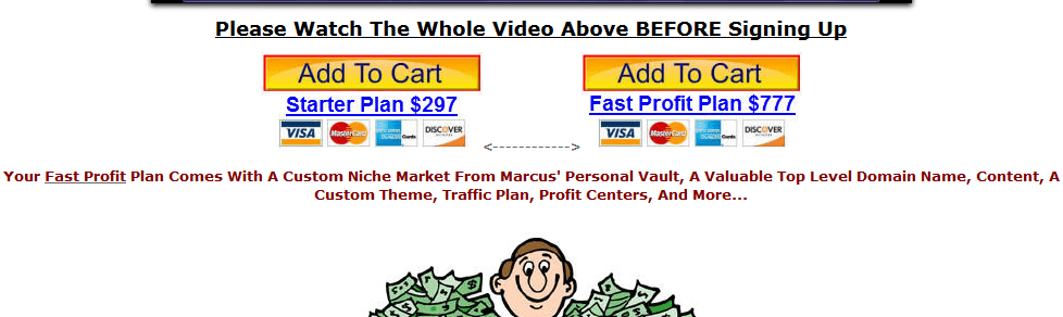 simple sites big profits price
