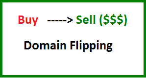 what is domain flipping