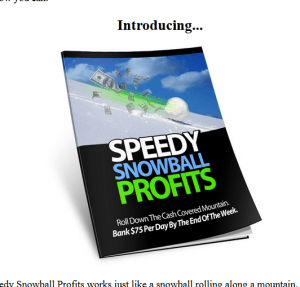 speedy snowball profits review