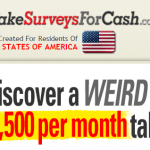 take surveys for cash review