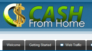 cash from home review