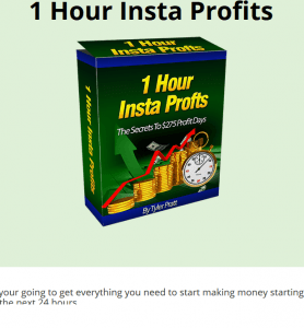 1 hour insta profits review screenshot