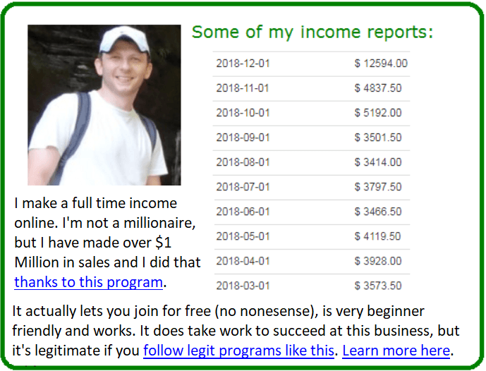 millionaire biz pro alternative