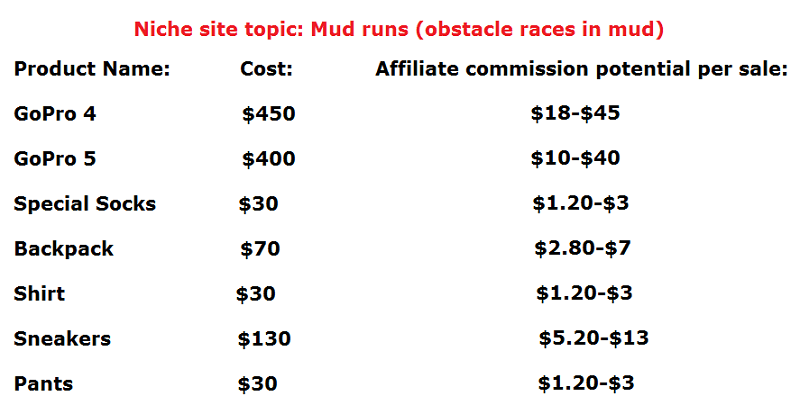 5 month niche site update