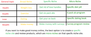 micro niche site example