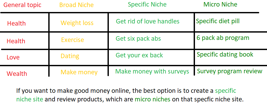 what is a micro niche site example