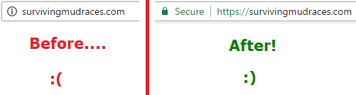 what a green padlock site looks like