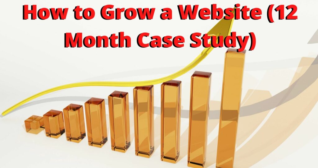 how to grow a website 12 month case study