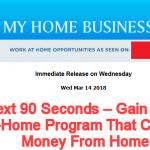 my home business mentor review