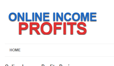 online income profits review