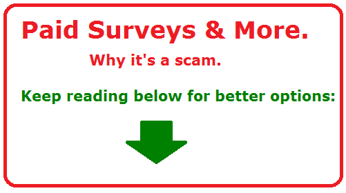 paid surveys and more review