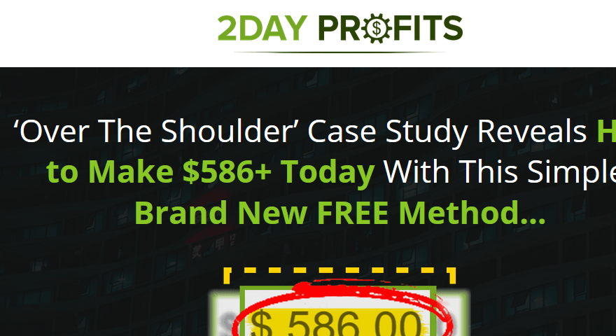 2 day profits review