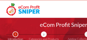 ecom profit sniper review