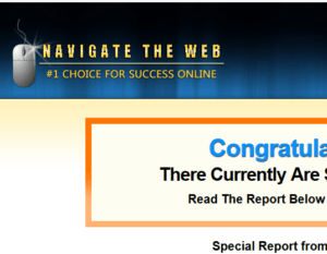 navigate the web review