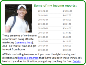 surveys vs affiliate marketing