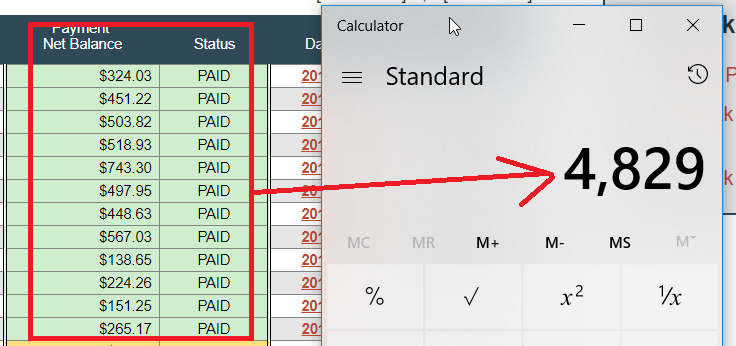 micro niche site paychecks