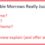 profitable morrows review
