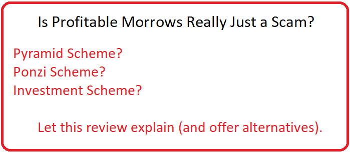 profitable morrows review