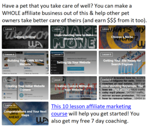 affiliate marketing 10 lesson course link