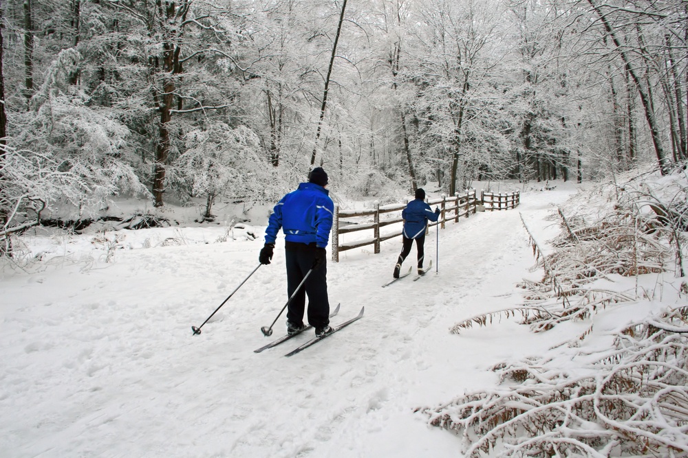 cross country sport niche