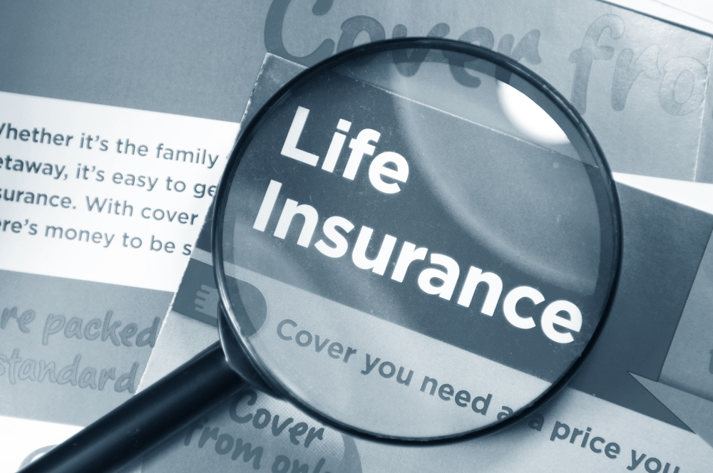 life insurance niche