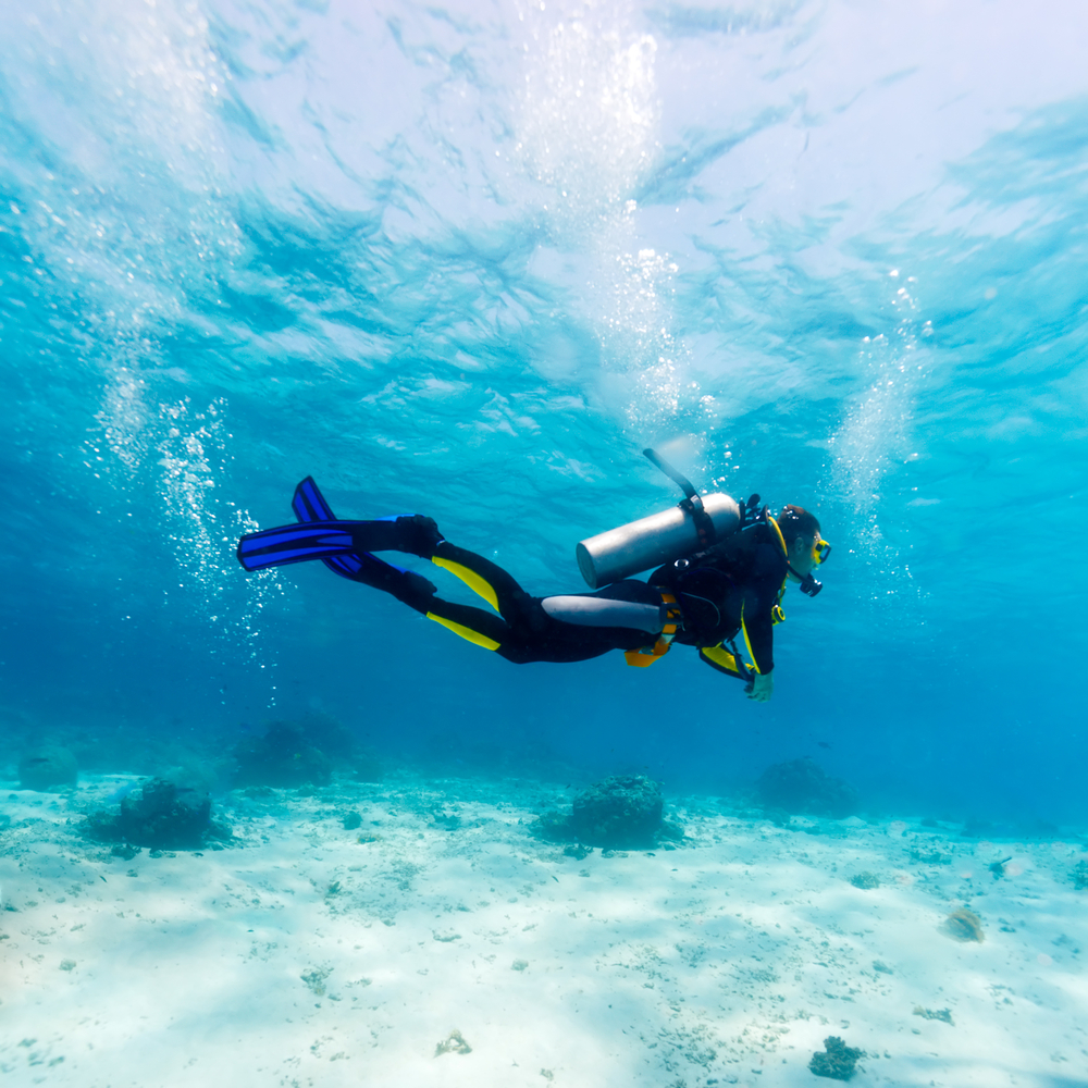 scuba diving topic