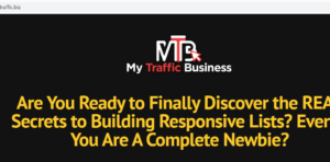 my traffic business review